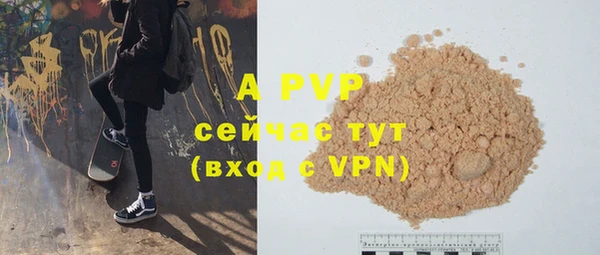 прущие крисы Елизово