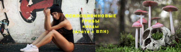 Альфа ПВП Ельня