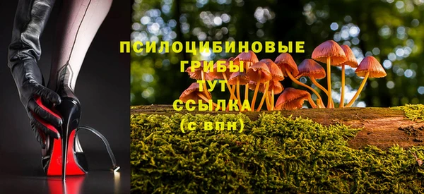 Альфа ПВП Ельня