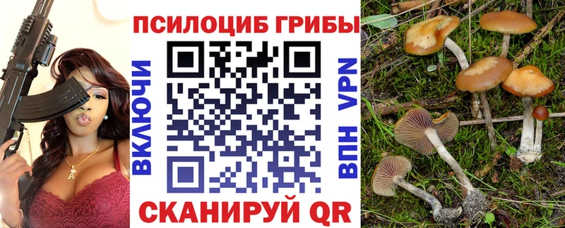 Галлюциногенные грибы прущие грибы  Купить закладки  Стрежевой 